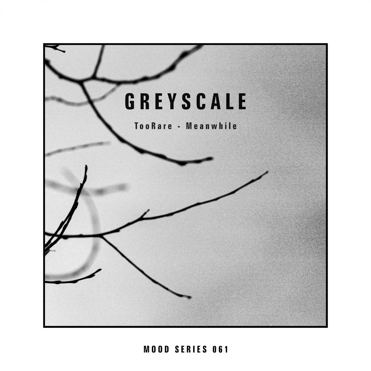 TooRare – Meanwhile [GRSCLM061]