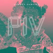 PIV Summer Sampler 2022, Pt. 2 [PIVVA02P2]
