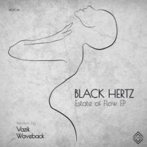 Black Hertz - Estate of Flow [DROP048]