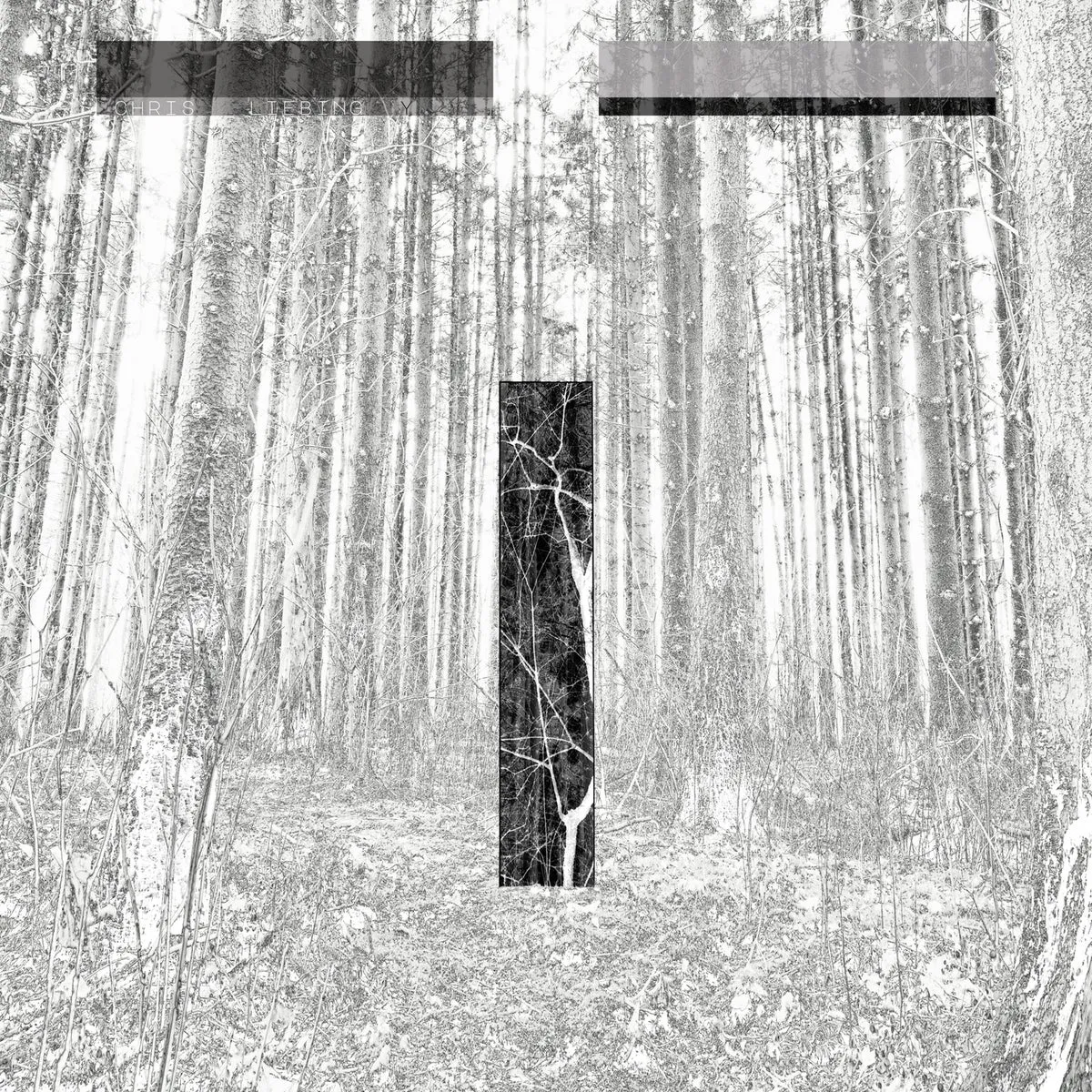 Chris Liebing, Ralf Hildenbeutel - Patterns (feat. Maria Uzor) [Nicole Moudaber Remix] [I1BSTUMM497]