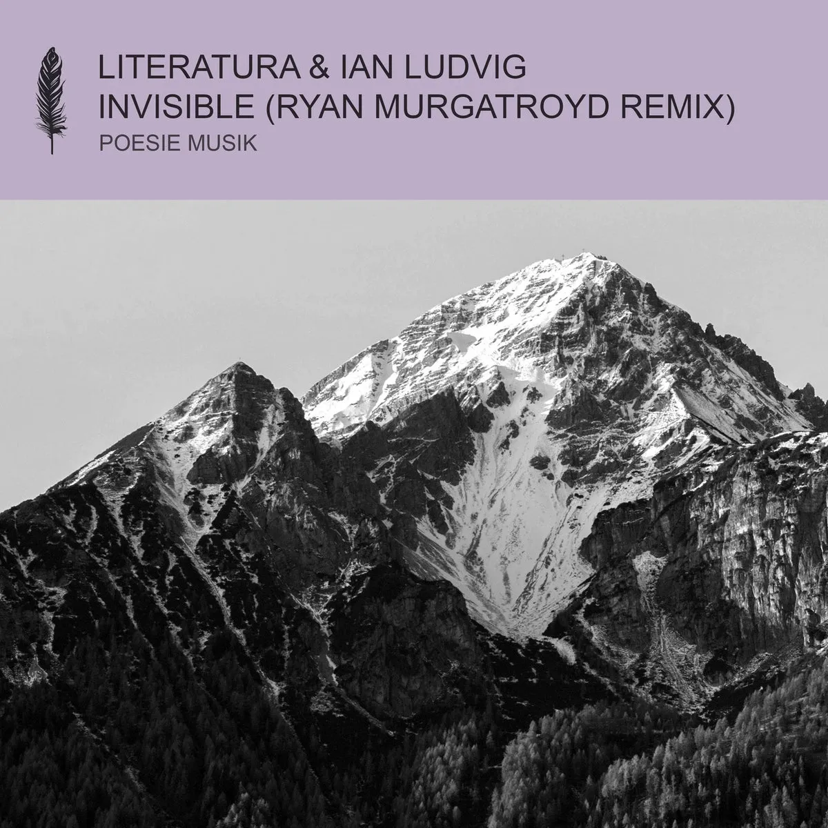 Ian Ludvig, LITERATURA - Invisible (Ryan Murgatroyd Remix) [POM172]