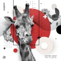 Kevin Deep - Pop Filter [NMT021]