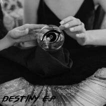 MUSEiK - Destiny [WPTD003]