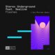 Stereo Underground, SeaLine - Flashes (Das Pharaoh Remix) [FSOEUVN043]