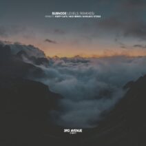 Subnode - Levels (Remixes) [3AV320]