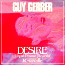 Desire - Liquid Dreams (Guy Gerber Rework) [196429100268]