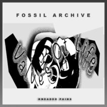 Fossil Archive - Valves Of Life [KP132]