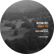 Nessim (BE) - Ginger Tea [CS101]