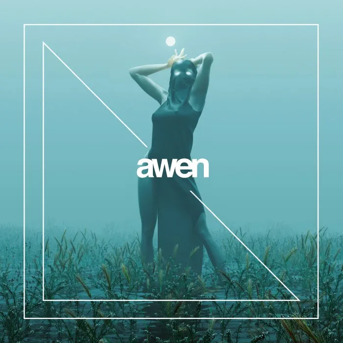 Palinodia - Spinning Voices [AWEN171]