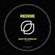 Reddie - What You Gonna Do [LJR540]