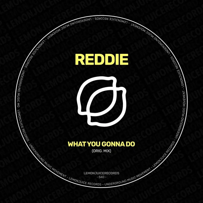 Reddie - What You Gonna Do [LJR540]