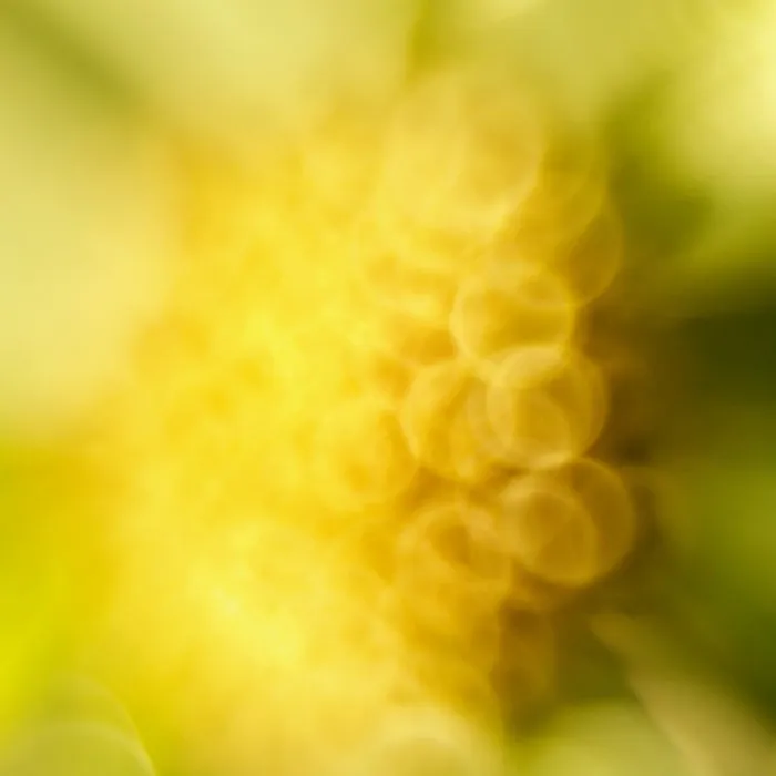 Sasse - The Magic Potion [MOOD236]