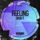 Shuu-T - Feeling [DP0011]