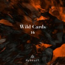 VA - Wild Cards 16 [PRST077]