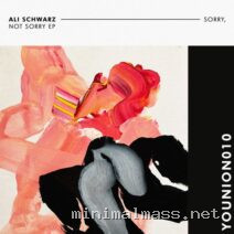 Ali Schwarz – Sorry Not Sorry cover
