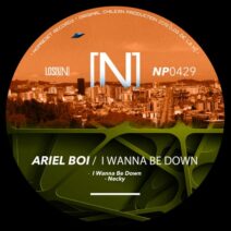 Ariel Boi - I Wanna Be Down [NP0429]