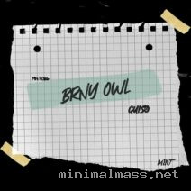 Brny Owl – Guiso cover