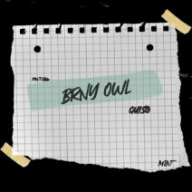 Brny Owl - Guiso [MNT086]