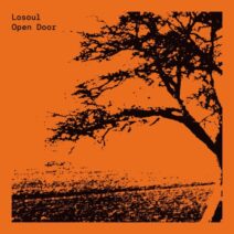 Losoul - Open Door (Expanded Edition) [RBDC08D]