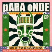 Mount Mike, Boy Oh Boy – Para Onde cover