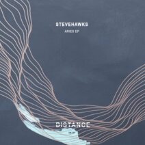 Stevehawks - Aries EP [DM287]