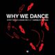 Terry Farley, Wade Teo, Kameelah Waheed - Why We Dance [REKIDS211]