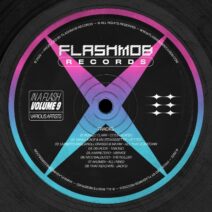 VA - In A Flash, Vol. 9 [FMR212]