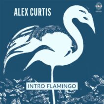 Alex Curtis - Intro Flamingo [10254384]