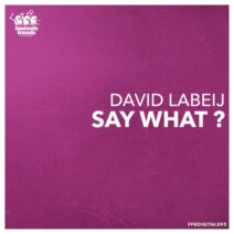 David Labeij - Say What ? [FFRDIGITAL093]