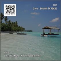 Gruuve - Blondie&D THE REMIXES [BS312]