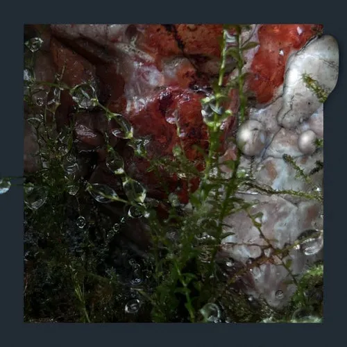 Incláme - Close Vicinity [BFR042]