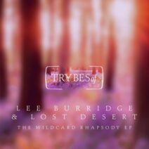 Lee Burridge, Lost Desert - The Wildcard Rhapsody EP [TRY038]