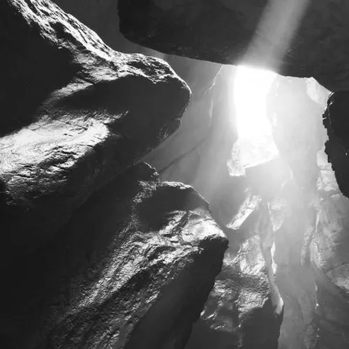 Pedro Sanmartin - Unfolding Nature [7VA008]