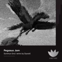 Sonimun - Pegasus Jam [AMH271]