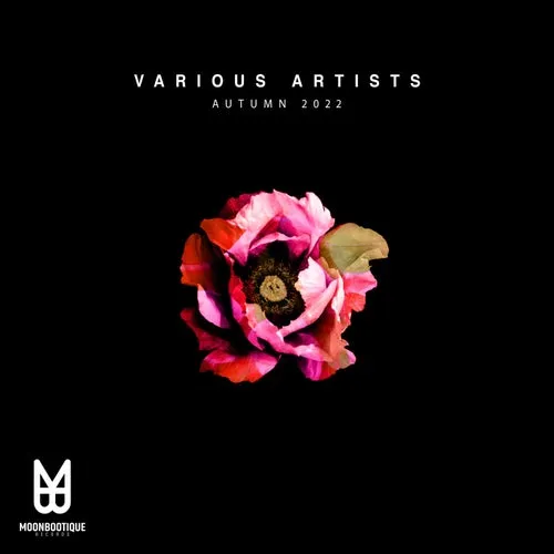 VA - Autumn 2022 [MOON165]