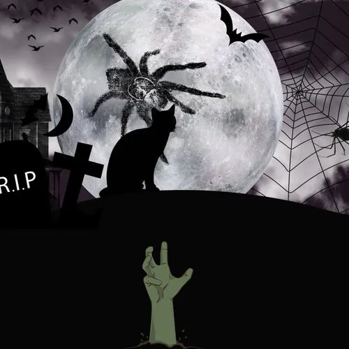 VA - Halloween 2022 [AM224]