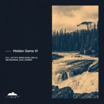 VA - Hidden Gems VI [PURR350]