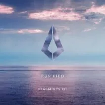 VA - Purified Fragments XII [PF100]