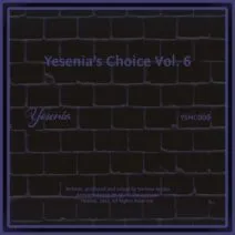 VA - Yesenia's Choice, Vol. 6 [YSNC006]