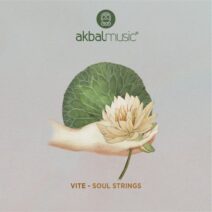 Vite, Hole Box - Soul Strings [AKBAL212]