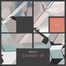 Wailey - Salvage EP [FG533]
