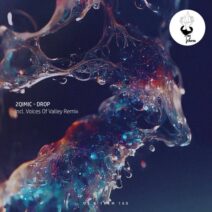 2Qimic - Drop [UT160]