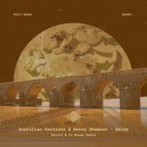 Anatolian Sessions, Danny Shamoun - Amida (Satori & El Mundo Remix) [QES001]