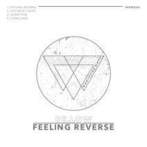 BE.LOW - Feeling Reverse [WHW244]