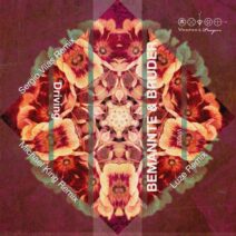 Bemannte & Bruder - Driving_ The Remixes [VP032]