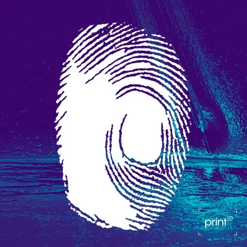 Carlos Cmix, Carlos Creeg - High Impact [PIDLABEL0005]