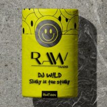 DJ W!LD - Slinky In The Stinky [RWT004]