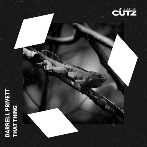 Darrell Privett – That Thing [STASHDC049]
