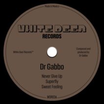 Dr Gabbo - Superfly EP [WDR036]