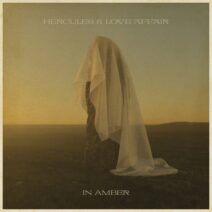 Hercules & Love Affair, ANOHNI- In Amber (Remixes) [4050538885101]
